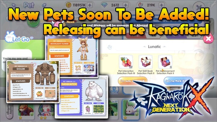 New Pets Soon To Be Added & New Release Pet System With Rewards [ROX]