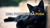 Pinaka sikat na Pamaihin sa Pilipinas  (HIWAGA) (Mga Pamaihin sa pusa)