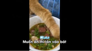 Meme mặn Mòi Dành Cho Bọn Thiếu Muối p5 #Tonghop