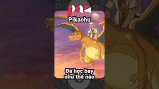 Bạn có biết Pikachu Duy Nhất BIẾT BAY | Captain Pikachu Pokemon | PAG Center #shorts #pokemon