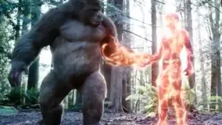 When The Flash gave the speed to King Kong, even facing the Hulk, it is estimated that he would dare