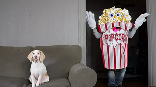 Funny Dog vs Giant Popcorn Man Prank สุนัขตลก Maymo