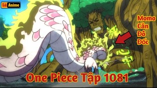 [Lù Rì Viu] One Piece Tập 1081 Thế Giới Sục Sôi Momo Cắn Đô Đốc Bò Lục  ||Review one piece