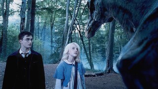 Setelah pertempuran hebat, para thestral kehilangan banyak mata yang tiba-tiba muncul 【Harry Potter】