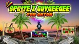 Dj Ton - Sprite x Guygeegee (Reggae Remix) Dj Jhanzkie 2023