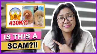 THE POODLE MOM REACTS: Dog Lovers Bought a Dog for 430K- Tulfo In Action