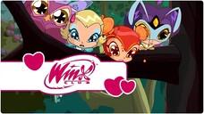 Winx Club - Sezon 3 Bölüm 20 - Pixiler İş Başında