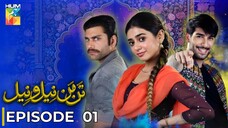 Tan Man Neel o Neel | Episode 01 | Shuja Asad - Sehar Khan | Pakistani Drama | Hum TV
