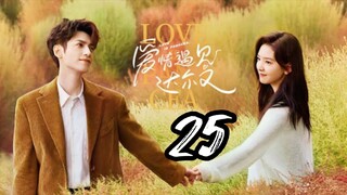 Love Is Panacea - Episode 25 [2023] [Chinese]