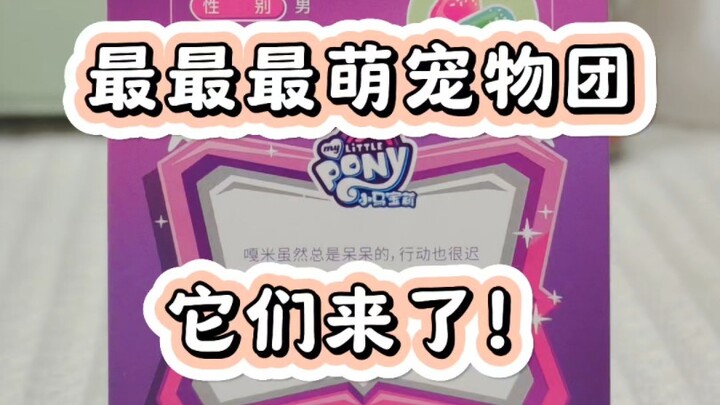 小马利亚最萌宠物团！你认识几个呢？