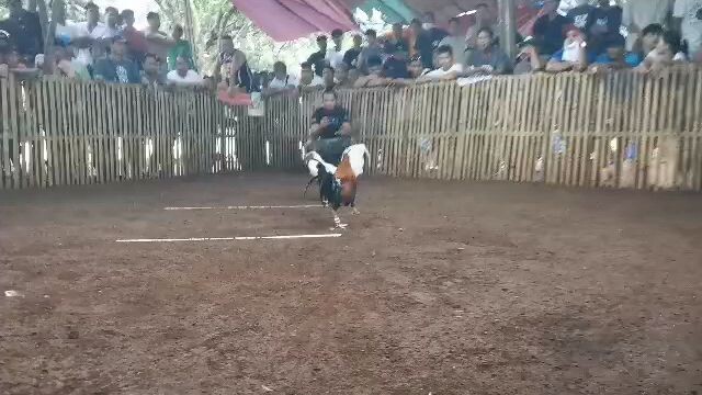 Win