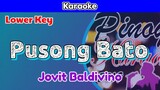 Pusong Bato by Jovit Baldivino (Karaoke : Lower Key)