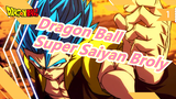 [Dragon Ball/Repost] Tid-Gunpla, BANDAI Figure-rise Super Saiyan Broly_1