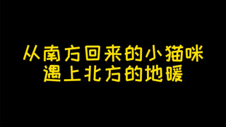 我家猫对地暖有多抗拒？绝不越界地暖烫jio？…