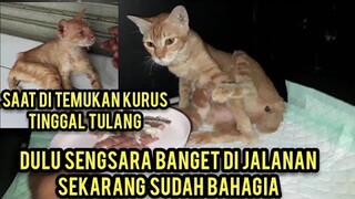 Allahu Akbar Dulu Sengsara Kurus Kering Di Emperan Toko Sekarang Sudah Bahagia Punya Anak..!