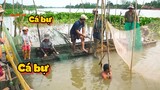 Dỡ chà ăn Tết bắt cá siêu nhiều ở miền Tây - Đặc sản miền sông nước