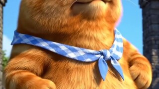 kucing lucu