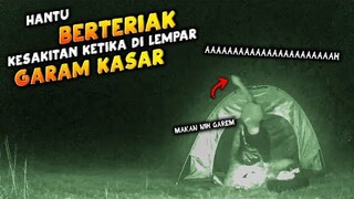 🔴 930- SETAN BERTERIAK KESAKITAN KETIKA DI LEMPAR GARAM KASAR | ADU NYALI