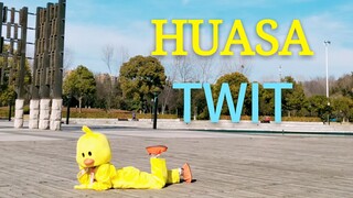 【二黄】翻跳 华莎 twit  鸭鸭没有盲肠炎！