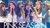 Apink - 1st Live Tour 'Pink Season' [2015.10.04]