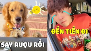 Gâu Đần Family | ĐẢN HOÀNG Bày Mưu Chơi Xấu PAPA và Cái Kết Đắng Ngắt 🤣 Gâu Đần Official