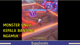 Best Fight Moment Dari Pro Player Indonesia - Genshin Impact Indonesia