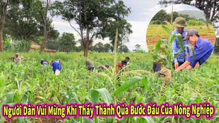 Người Dân Vui Mừng Khi Bước Đầu Thấy Thành Quả Của Nông Nghiệp