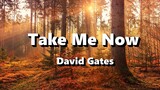 Take Me Now - David Gates ( Lyrics )