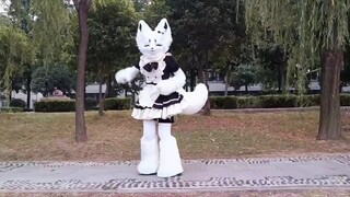 จิ๊บ ~ ฉันขอโทษที่น่ารักมาก (˵ラ͒۞͒˵) Furry Costume House Dance