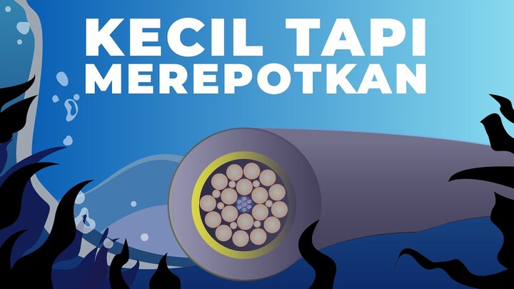 Kamu Tidak Bisa Hidup Tanpa Benda Ini Loh!
