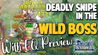 DEADLY SNIPE WILD MVP TESTING LOOKS PROMISING W/ EQ PREVIEW - RAGNAROK M: ETERNAL LOVE