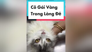 Cô Gái Vàng Trong Làng Đi Đẻ 😂pet thucung meouhotel nucuoibatngo