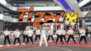 权顺荣生日应援11人超强1:1还原tiger｜请把这条视频强推给克拉der｜这个路演不点进来看看你就亏大了｜全女超绝震撼翻跳｜爽到我了