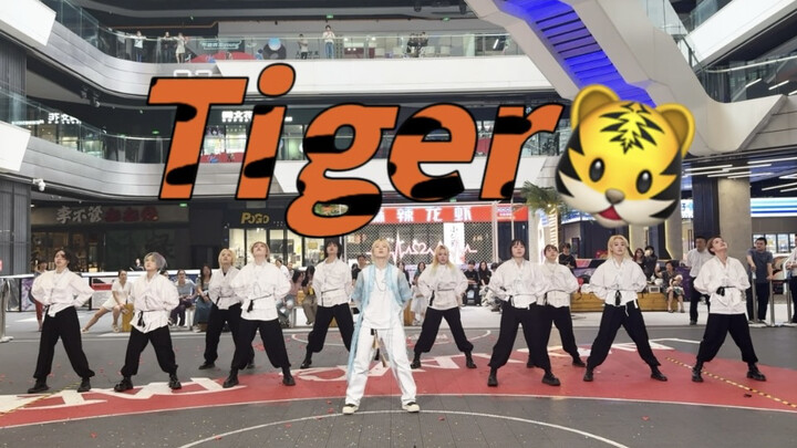 权顺荣生日应援11人超强1:1还原tiger｜请把这条视频强推给克拉der｜这个路演不点进来看看你就亏大了｜全女超绝震撼翻跳｜爽到我了