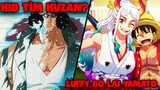 [One Piece 1056] Kid tìm Kuzan? Yamato bị băng Mũ Rơm BỎ RƠI - Liên minh Luffy, Kid, Law tan rã!