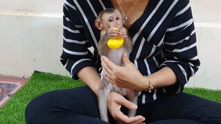 Lihenag Look So Happy Play With Baby Duck Toys After Mom Take Bath