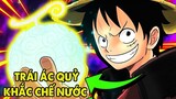 Top 10 Người Ăn Trái Ác Quỷ Khắc Chế, Điều Khiển Được Nước _ Khám Phá One Piece