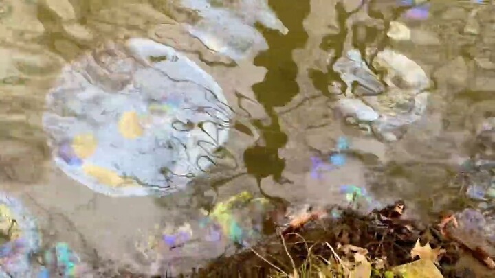 #Warning_New video shows the water in East Palestine Ohio is badly contaminated