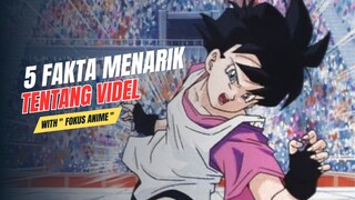 5 Fakta Menarik Tentang VIDEL 🔥