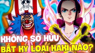 CỰC MẠNH NHƯNG KHÔNG CÓ HAKI?! | NHỮNG KẺ NHƯNG CHƯA TỪNG DÙNG ĐẾN HAKI TRONG ONE PIECE
