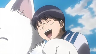 Truyện tranh Nhật Bản Gintama bộ sưu tập đầy đủ tài nguyên đĩa mạng phiên bản chiếu rạp + phiên bản 