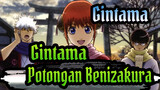 [Gintama] Gintama_Potongan Benizakura_C