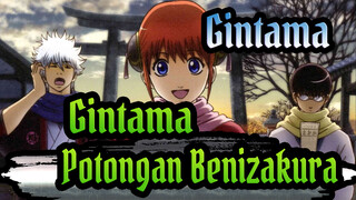 [Gintama] Gintama_Potongan Benizakura