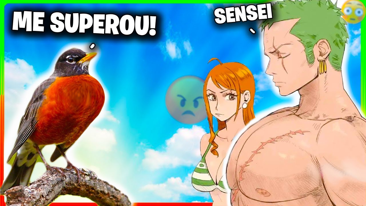 o que significa zoro sola