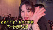 匆匆忙忙的小松鼠下班啦 下一秒闪现机场 极限特种兵 注意保暖宝宝 杨紫嘉人晚宴