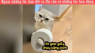 Những chiếc mồn lèo đã được nâng cấp lên 1 tầng cao mới 😱 #haihuocvuinhon