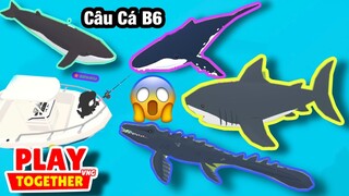 Câu Cá Megalodon, Cá Voi Lưng Gù, Thương Long, Cá Voi Đầu Bò Bóng 6 Thành Công | Play Together