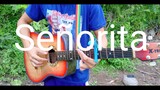 Señorita by: Shawn Mendez and Camila cabello (guitar fingerstyle cover)