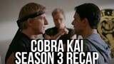 COBRA KAI Season 3 Recap | Netflix Series Explained