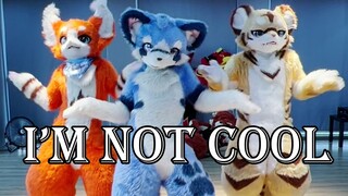 兽团的舞蹈房！！ I'm NOT COOL? We're So COOL~~~